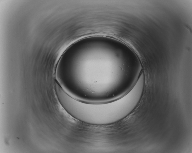 X0000103411532200809191533