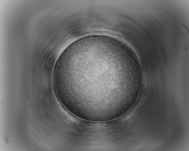 X0000103411533200809191533