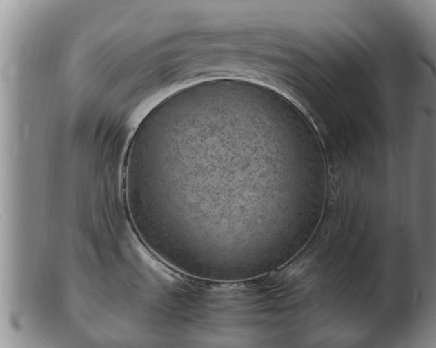 X0000103411535200809191533