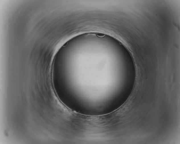 X0000103411536200809191533