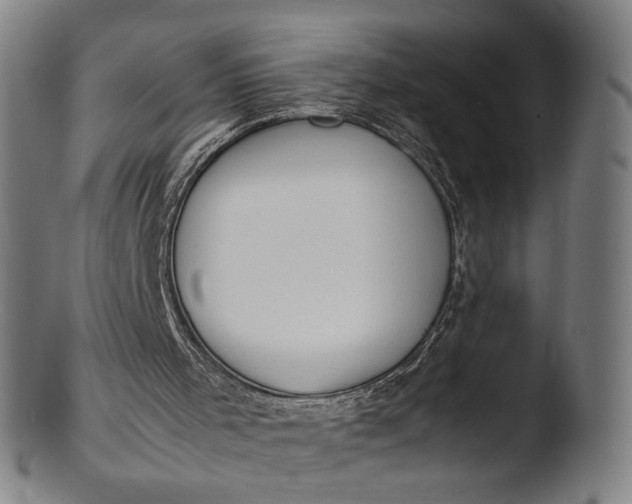 X0000103410001200809261654