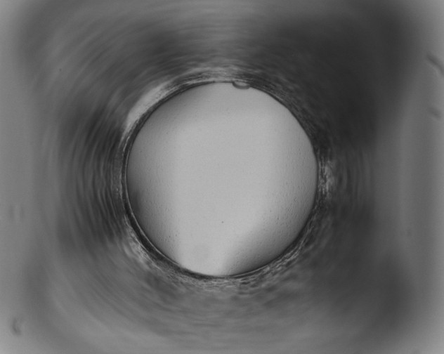 X0000103410004200809261654