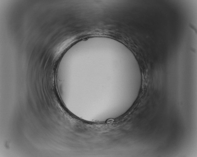 X0000103410005200809261654