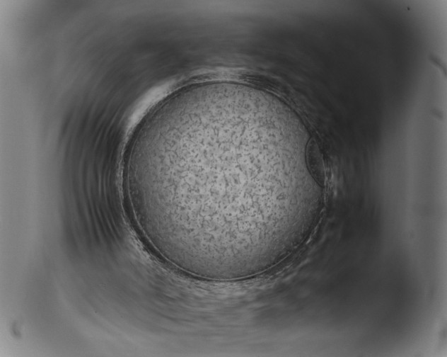 X0000103410006200809261654