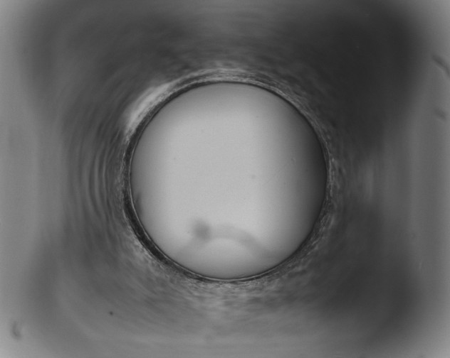 X0000103410007200809261654