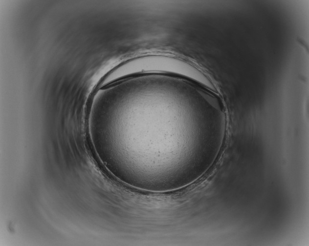 X0000103410008200809261654