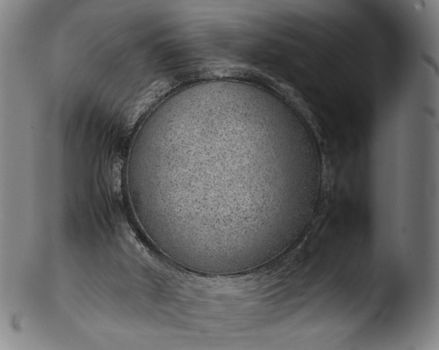 X0000103410010200809261654