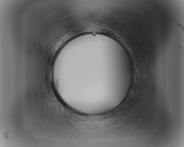 X0000103410011200809261654