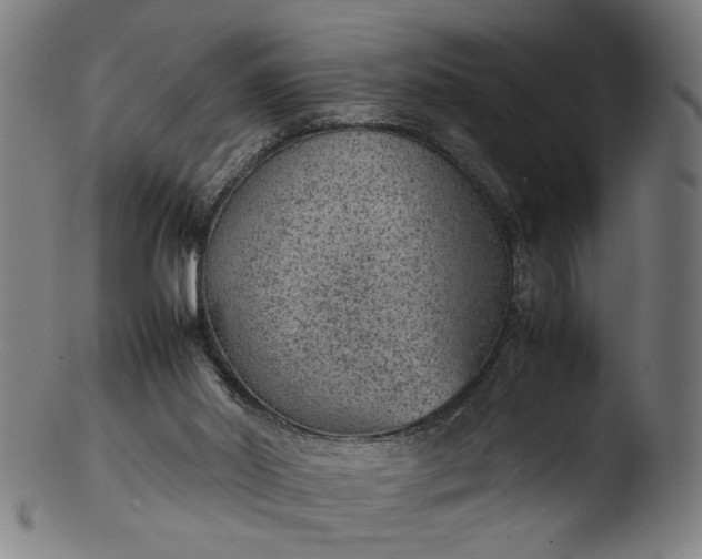 X0000103410014200809261654