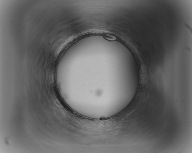 X0000103410015200809261654