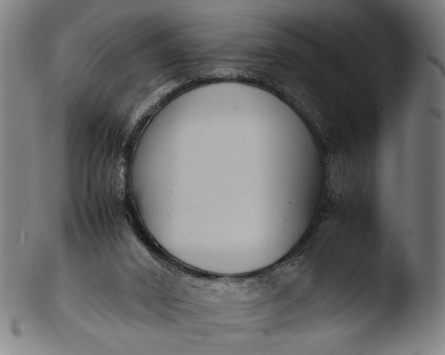 X0000103410016200809261654