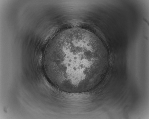 X0000103410018200809261654