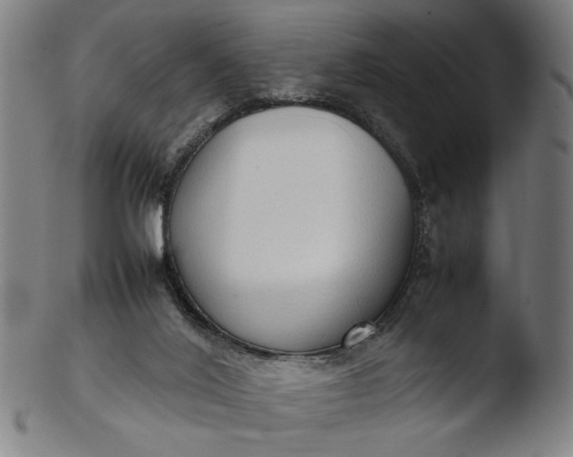 X0000103410020200809261654