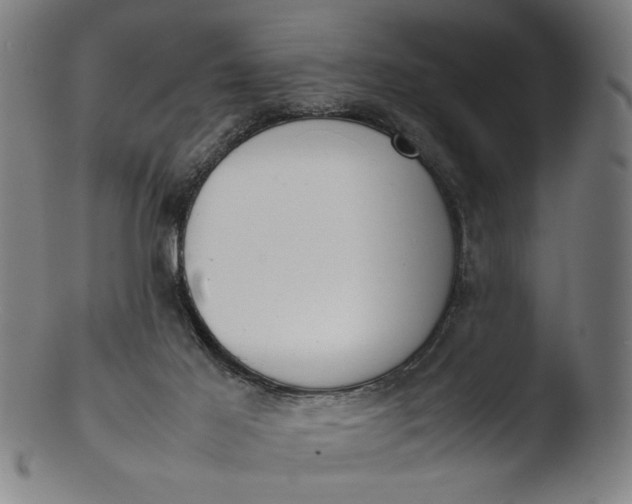 X0000103410021200809261654