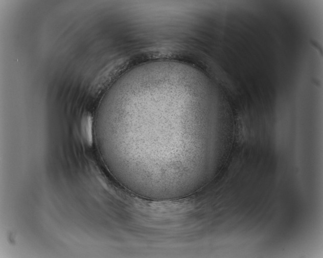 X0000103410022200809261654