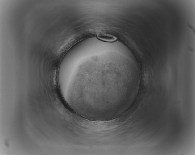 X0000103410023200809261654