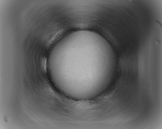 X0000103410024200809261654