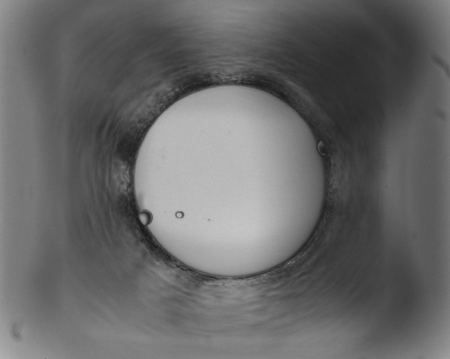 X0000103410025200809261654