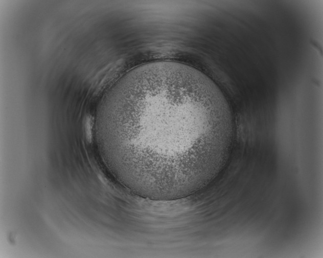 X0000103410026200809261654