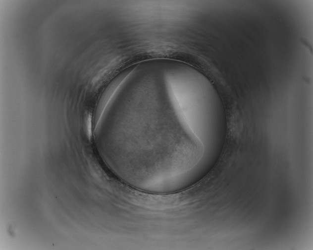 X0000103410027200809261654