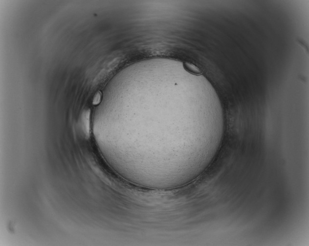 X0000103410028200809261654