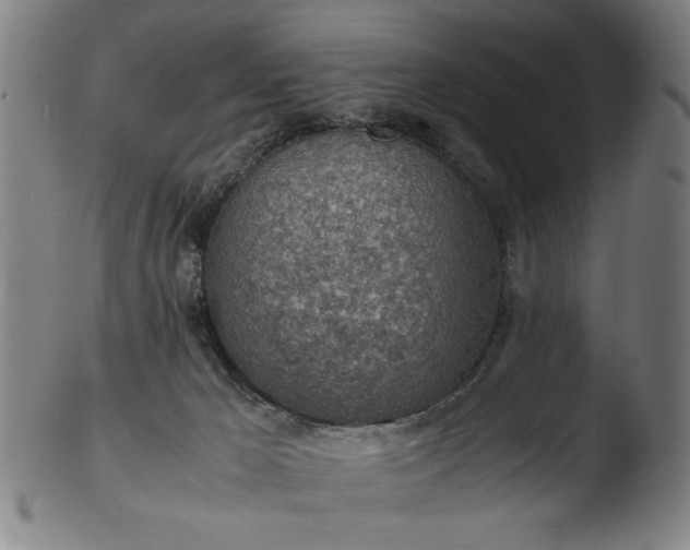 X0000103410029200809261654