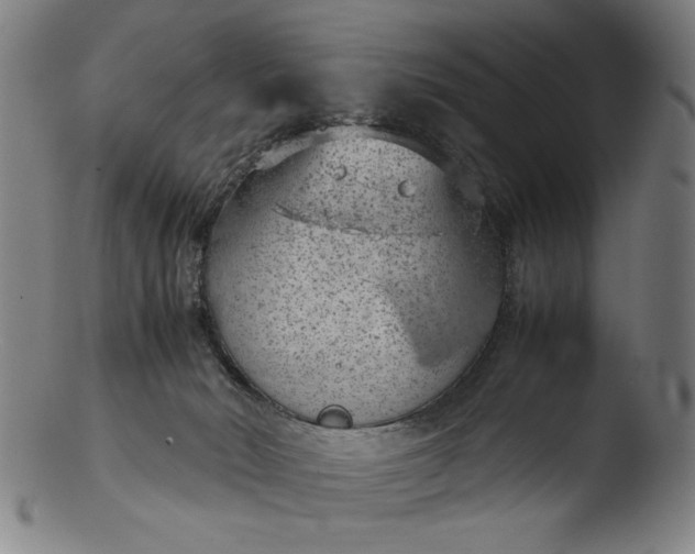 X0000103410030200809261654