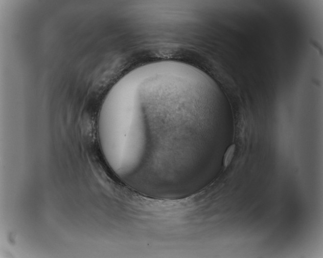 X0000103410031200809261654