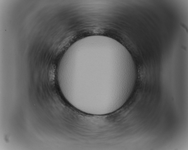 X0000103410032200809261654