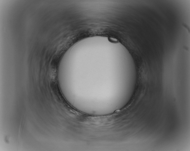 X0000103410033200809261654