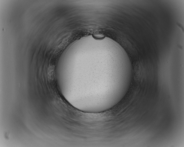 X0000103410034200809261654