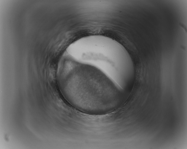 X0000103410035200809261654