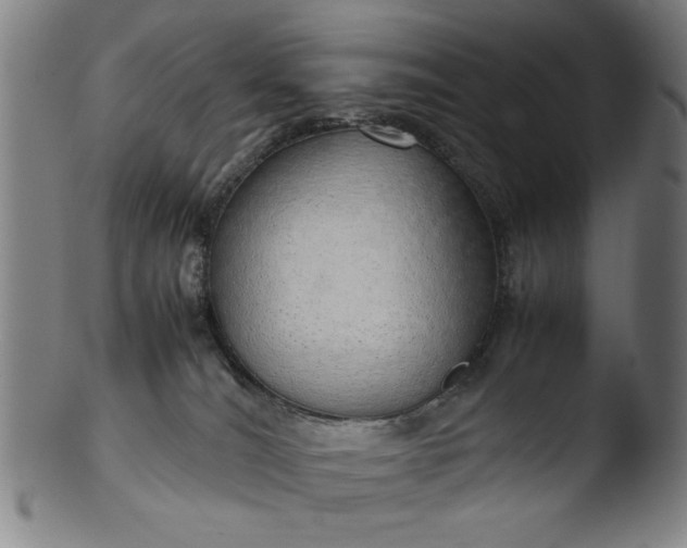 X0000103410036200809261654