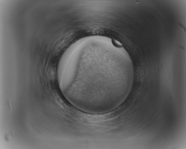 X0000103410039200809261654