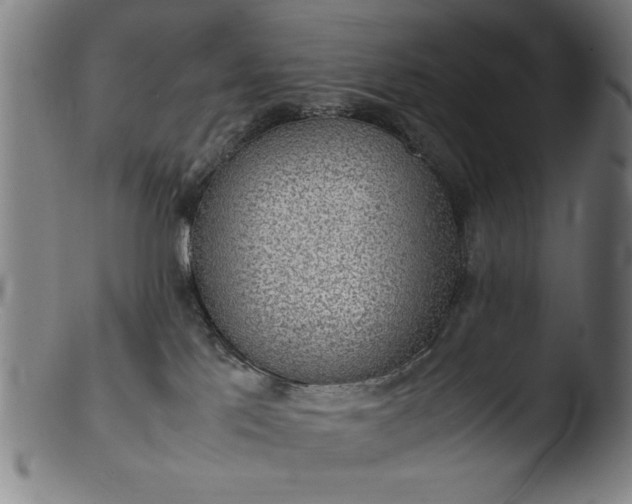 X0000103410041200809261654