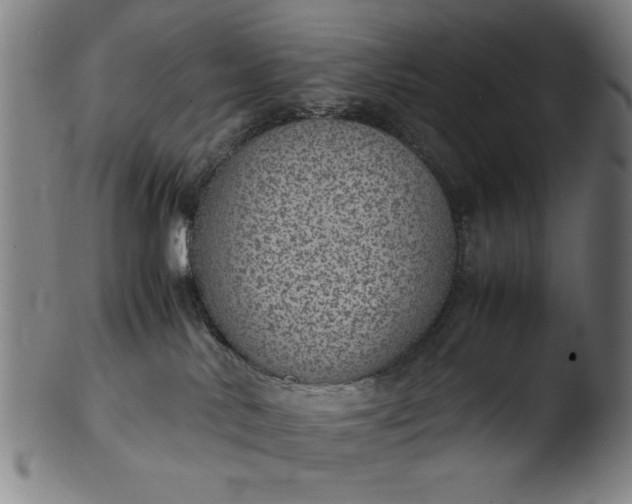 X0000103410042200809261654