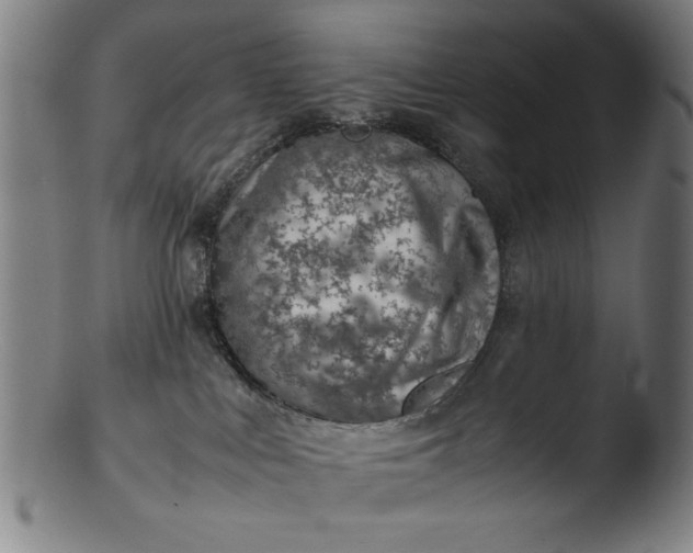 X0000103410043200809261654