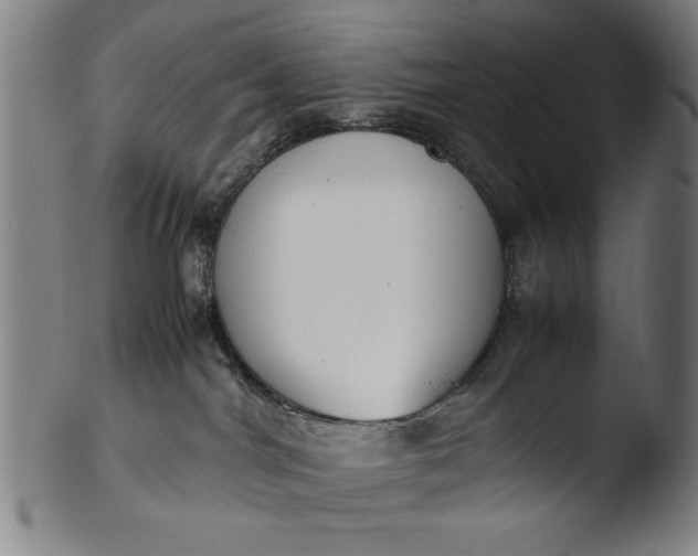 X0000103410044200809261654