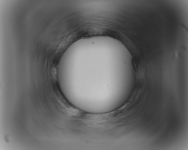 X0000103410045200809261653