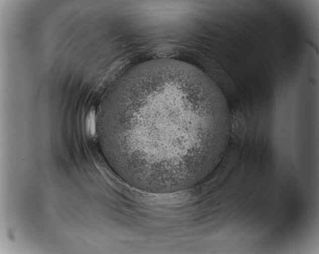 X0000103410046200809261653