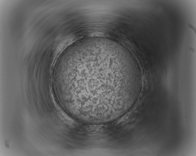 X0000103410049200809261653