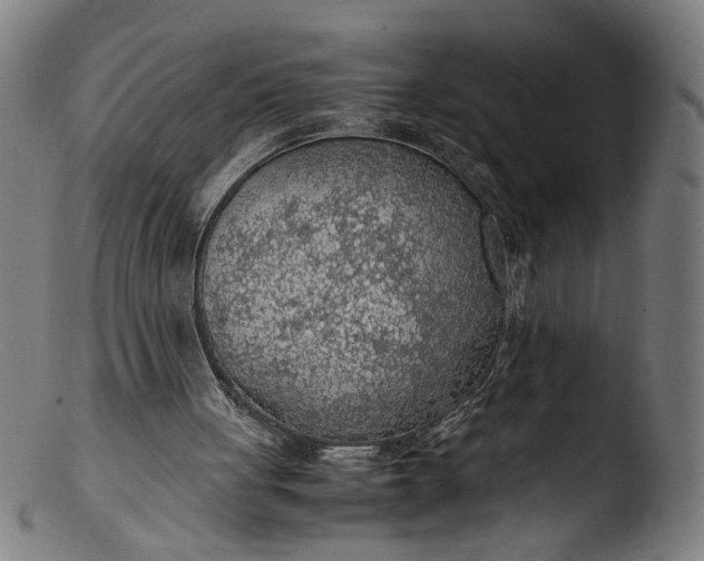 X0000103410051200809261653