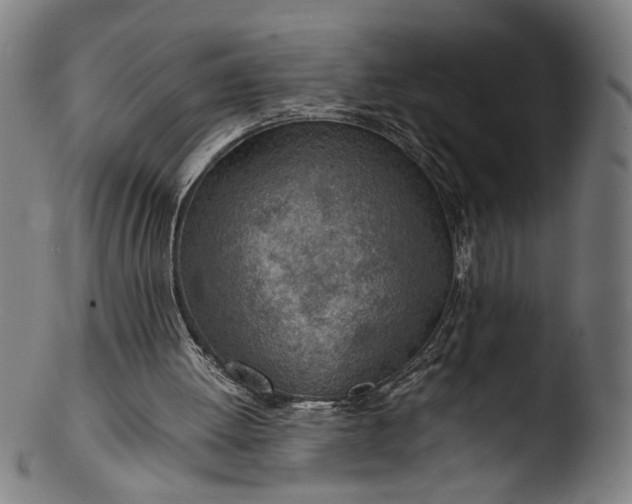 X0000103410052200809261653