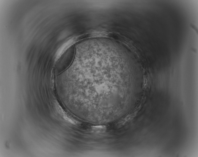 X0000103410053200809261653