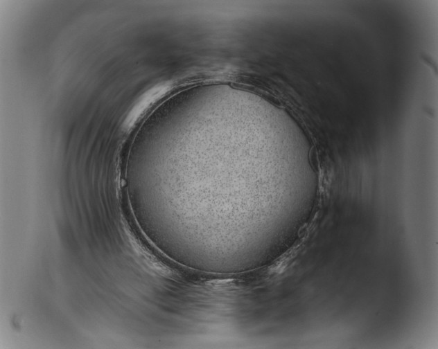 X0000103410054200809261653