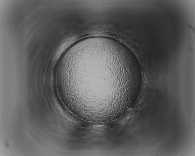 X0000103410055200809261653