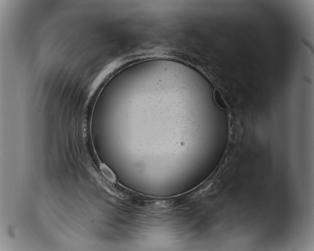 X0000103410056200809261653