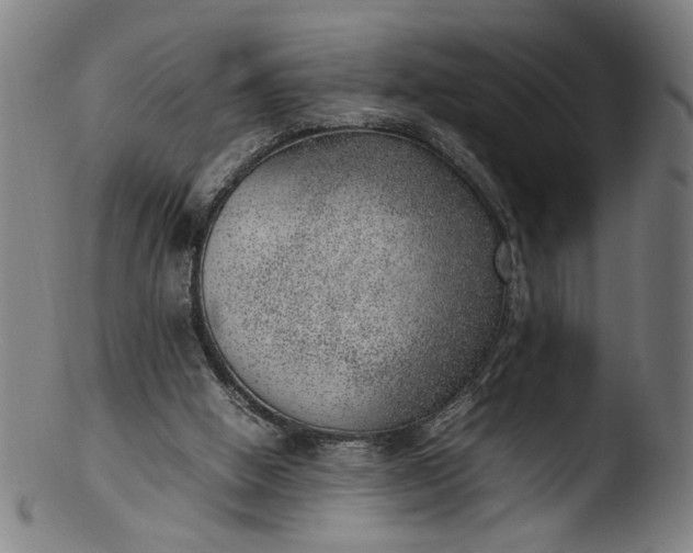 X0000103410058200809261653