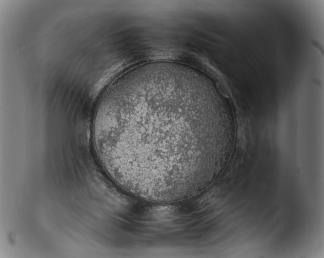 X0000103410059200809261653