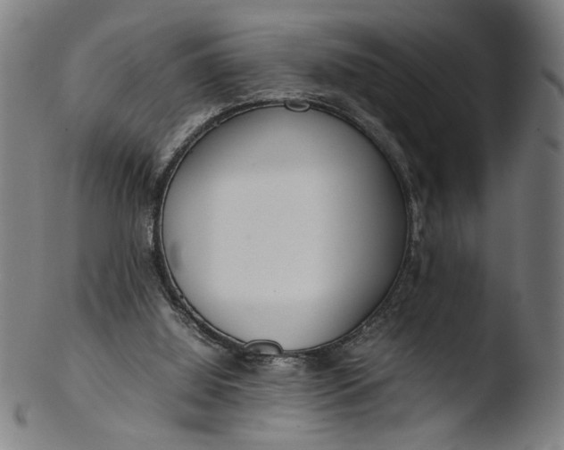 X0000103410060200809261653